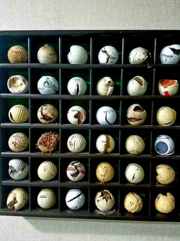 Colecciones-29
