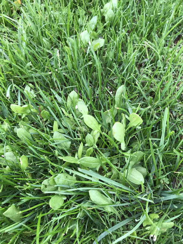 C6DC3DA6-9007-441A-934A-90C94C879EBC