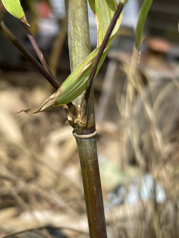 0B9A0B89-6259-4BE4-8AAB-238ED2ECD4E8