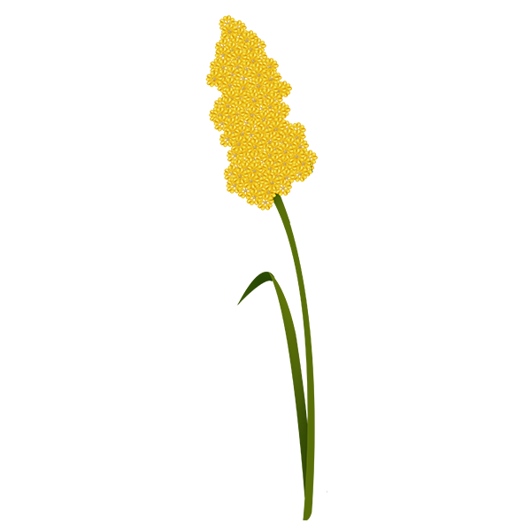 KBK_SpringSurprise (47)