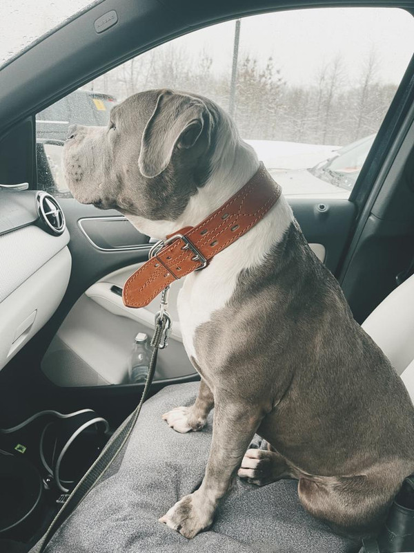 AD23A919-74AA-46DD-B5E9-881EA9B7177D