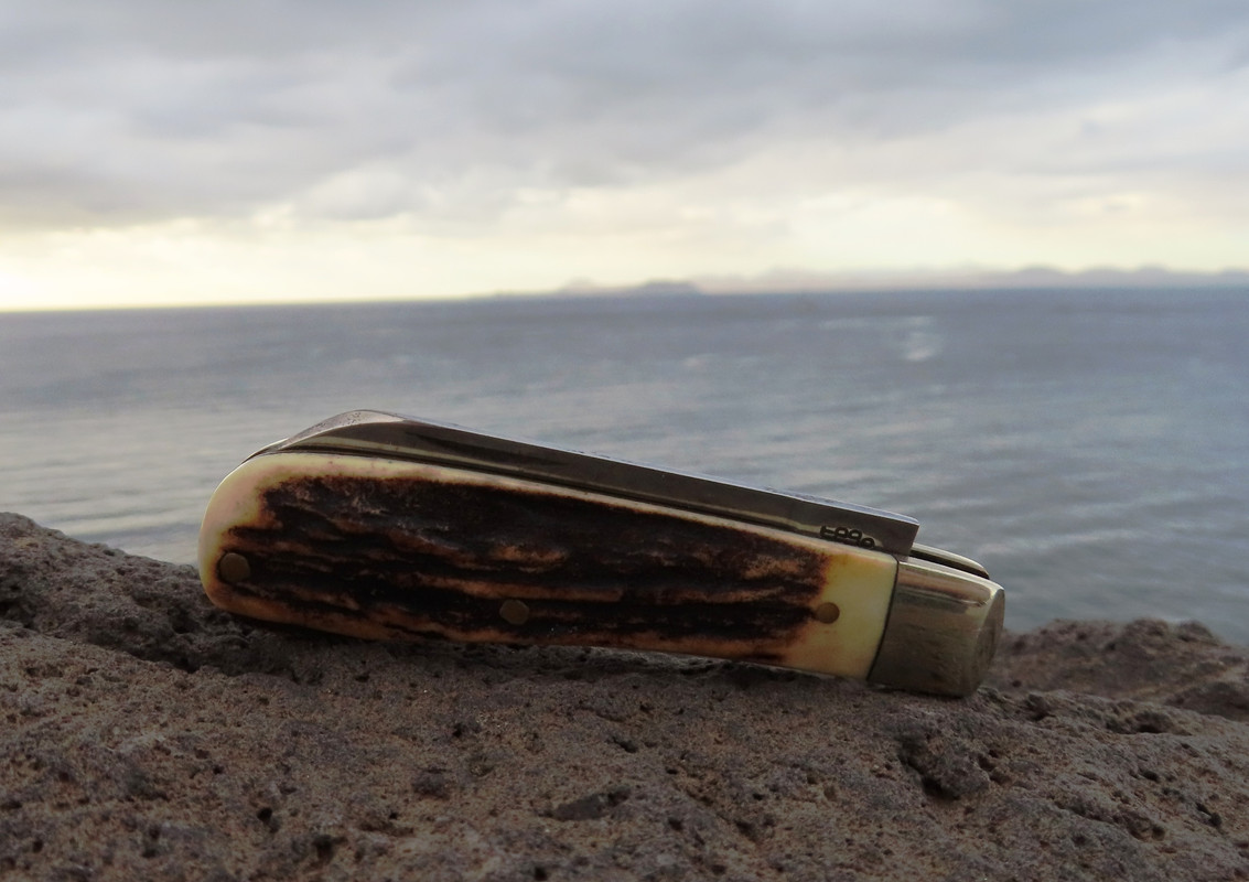 AW Small Sambar LF (2) 15-3