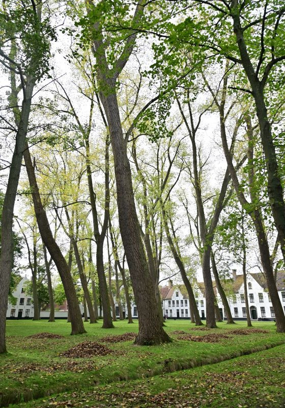 Otoño en Flandes - Blogs de Belgica - Día 2: El otoño en Brujas (16)