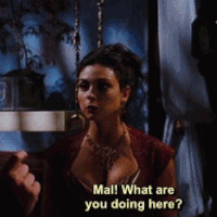 sff-reunited-av2.gif