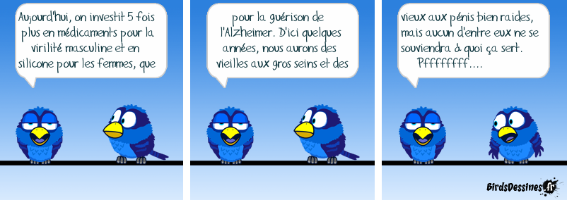 [JEUDI] - Les Birds - [ARCHIVES 01] - Page 5 2021-11-11-b-01