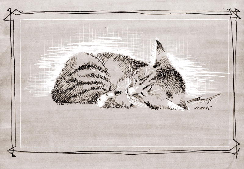 cat-h