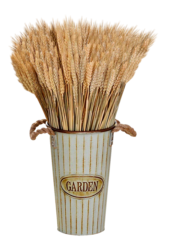 IPD_AH_Element (169)