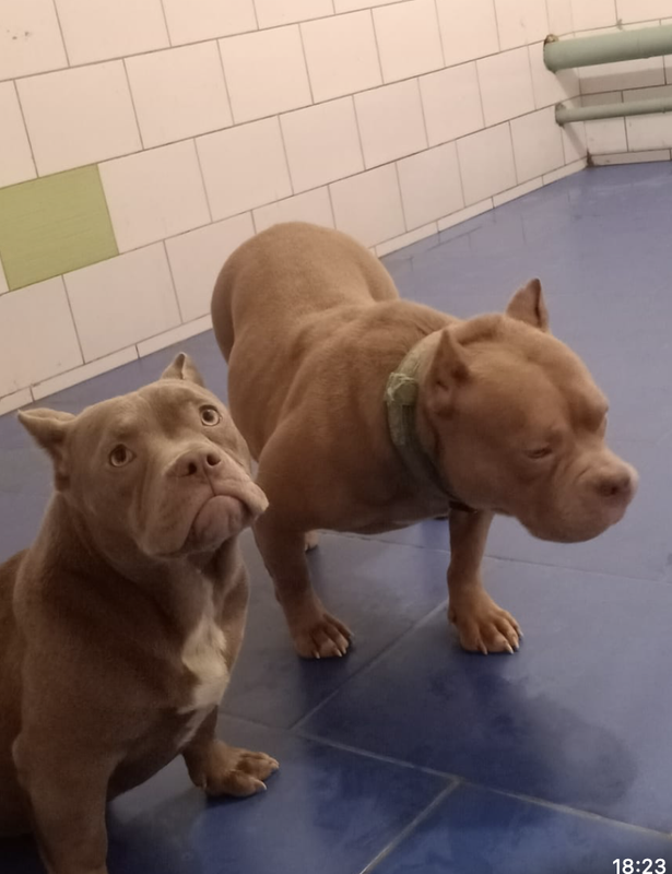 Снимок экрана 2024-12-15 в 18.01.23