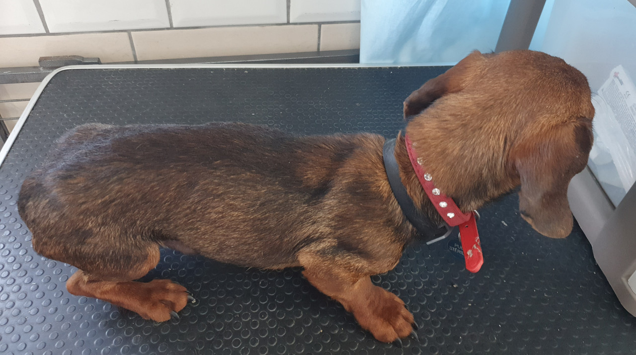 [Image: 20220704-220602.jpg]