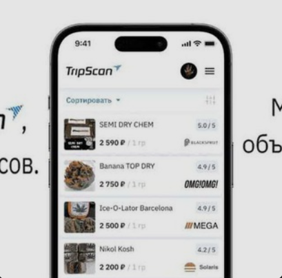 TripScan — удобный доступ к возможностям
