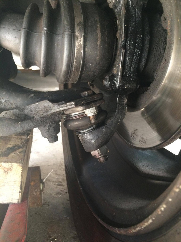 12788833_10208991118480233_435814488_o