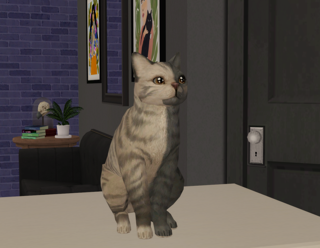 Sims2-EP9-RPC-2022-10-25-23-00-48-79