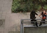 Мизинец будды фильм трейлер () Мизинец будды фильм трейлер