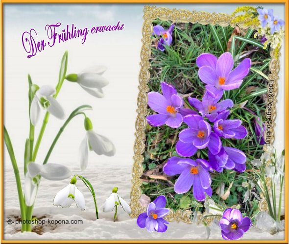 Fruhling00