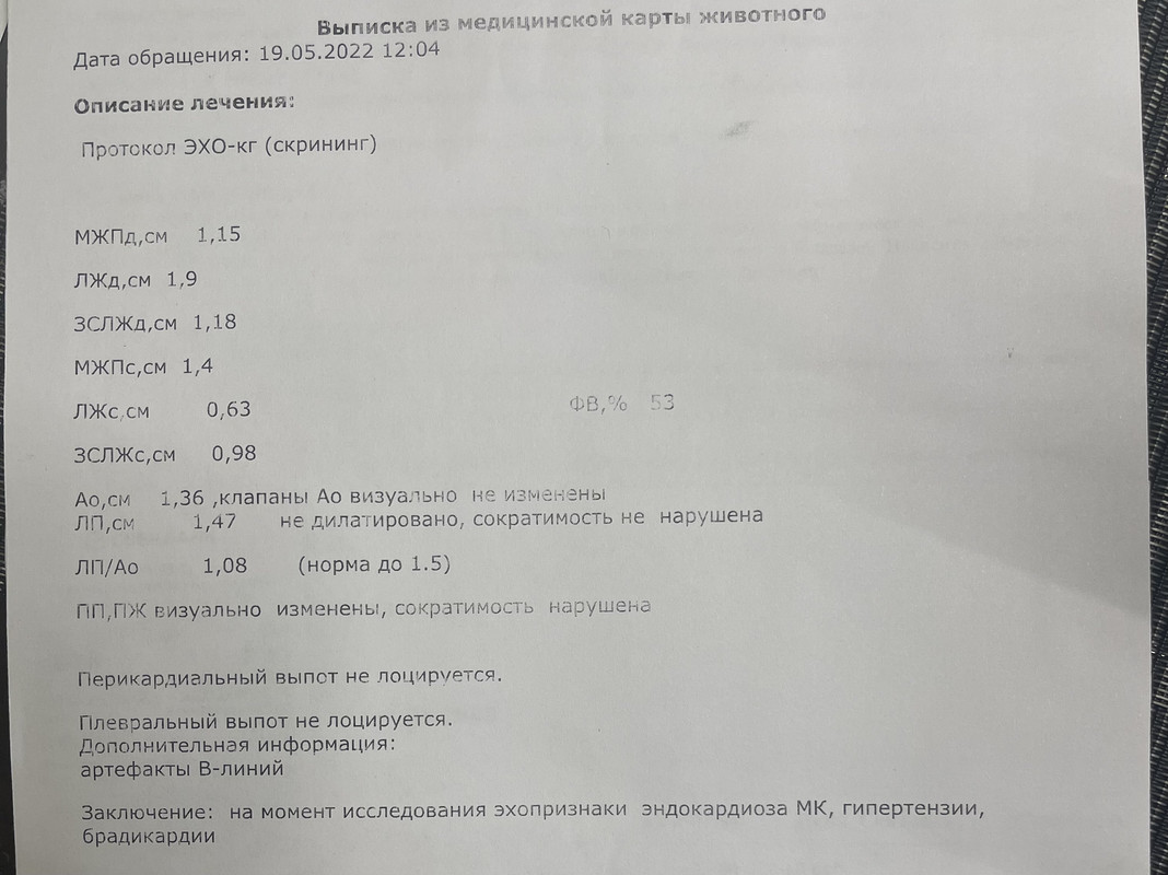 256553E5-2041-4E48-890D-2784B30E2239