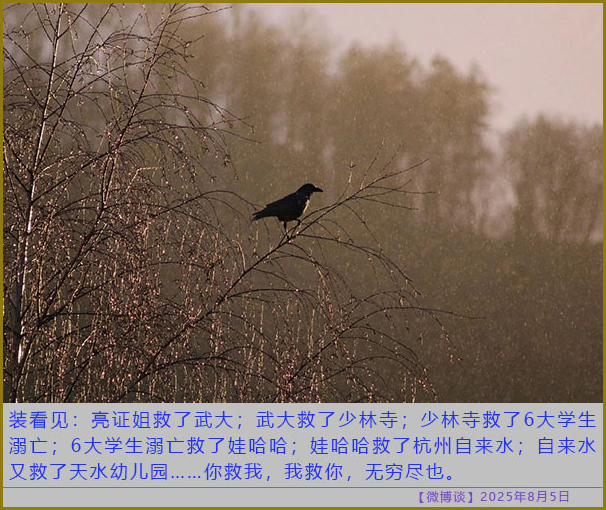 https://i.postimg.cc/bJx1s9nH/20250805-bt-1.jpg