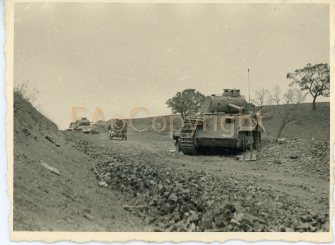 Kämpfe Italien Nettuno Panzer Tank Panther Foto2