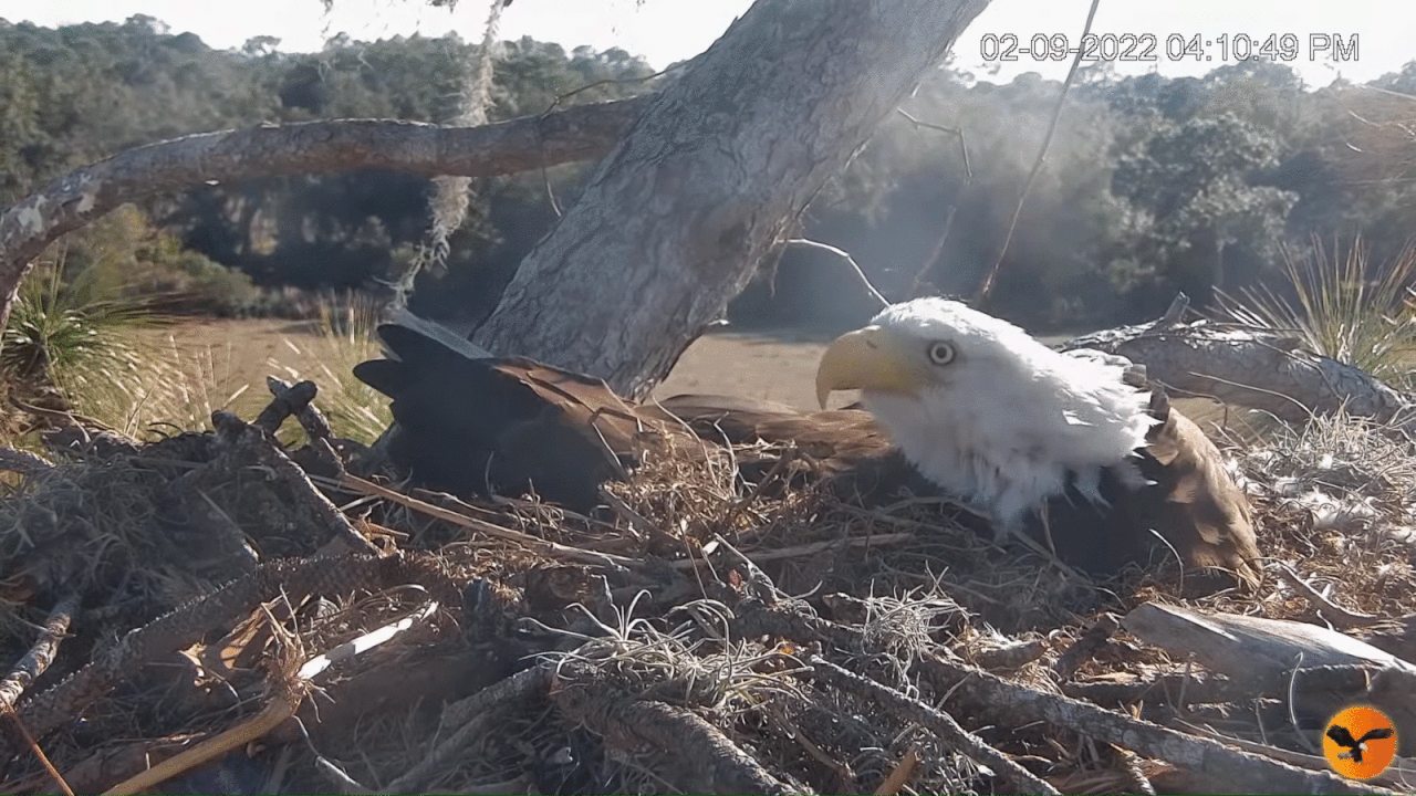 Webp.net-gifmaker (2)