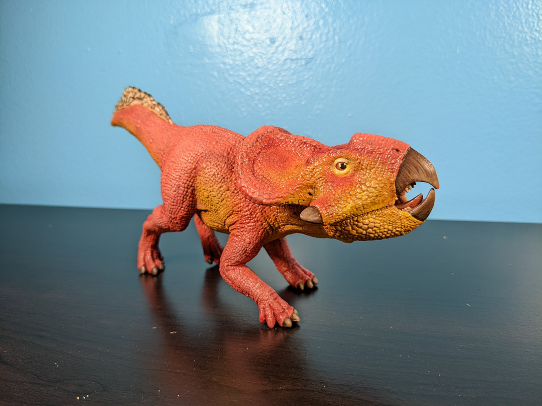 CollectA Protoceratops (Bix from Dinotopia) by Paintingdinos PXL-20220628-212642122-MP