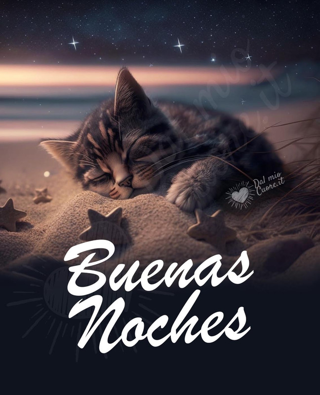 buenas-noches-gato-1