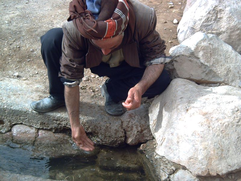 ولی ا... دلیری