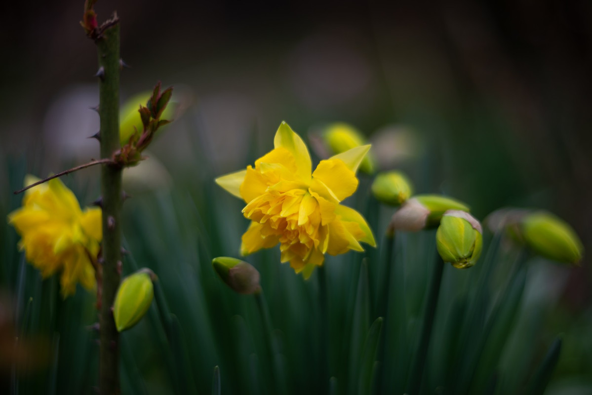IMG-9f158274e09e850ab1677d37c6c5c57e-V