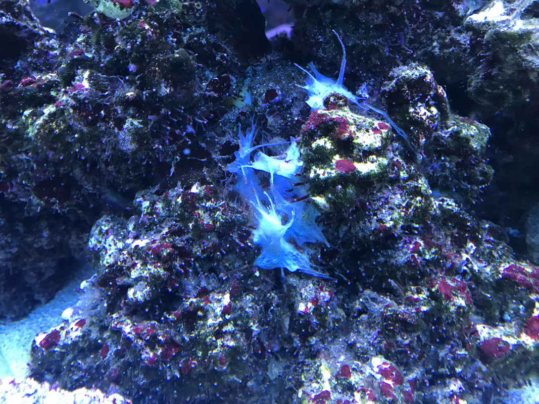 F85F0839-9391-4342-B351-D5455DD02D61