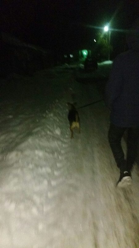 IMG-425cf3a6175ee317c510e6a88886e32a-V