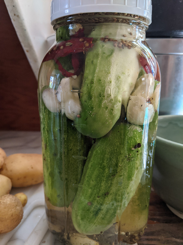 PXL_20210724_220934336