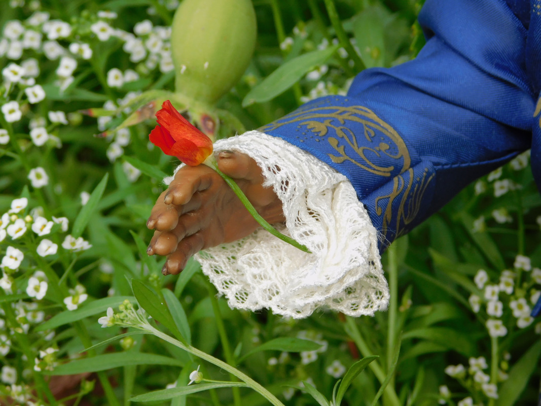 Дачное август Чудище, Харли и Ко, природ 352