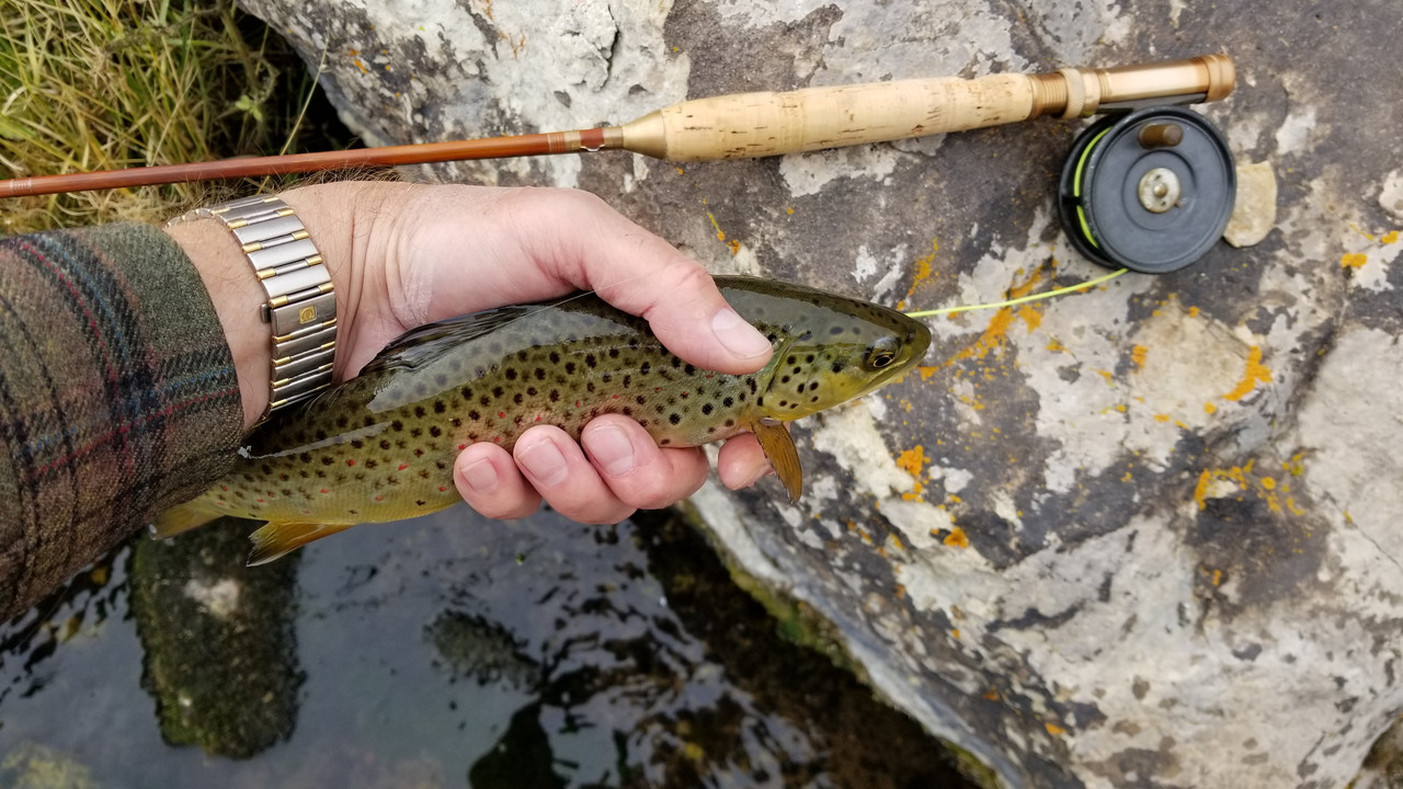 What are you fishing this week? - Page 59 - The Classic Fly Rod Forum