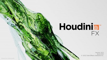 SideFX Houdini FX 19.5.303 (Win x64)