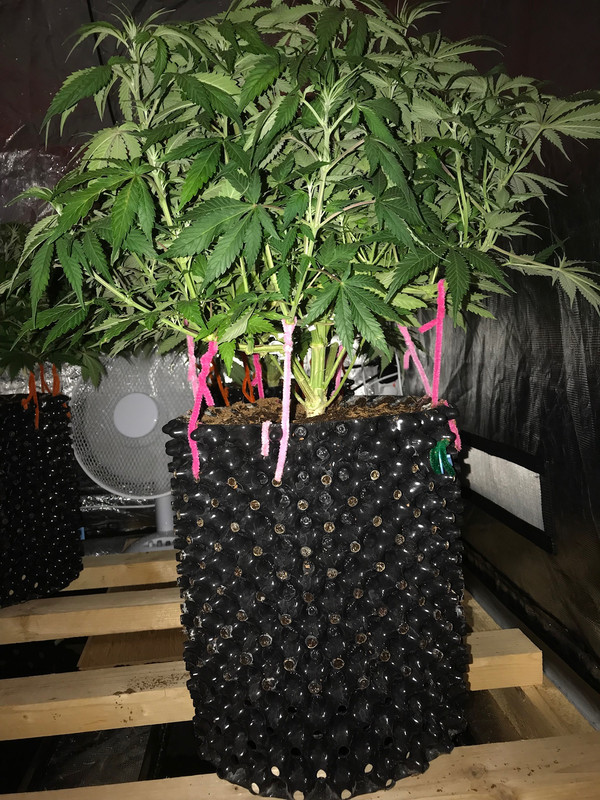 74C33252-E764-449E-A5BA-73CBA61356A7