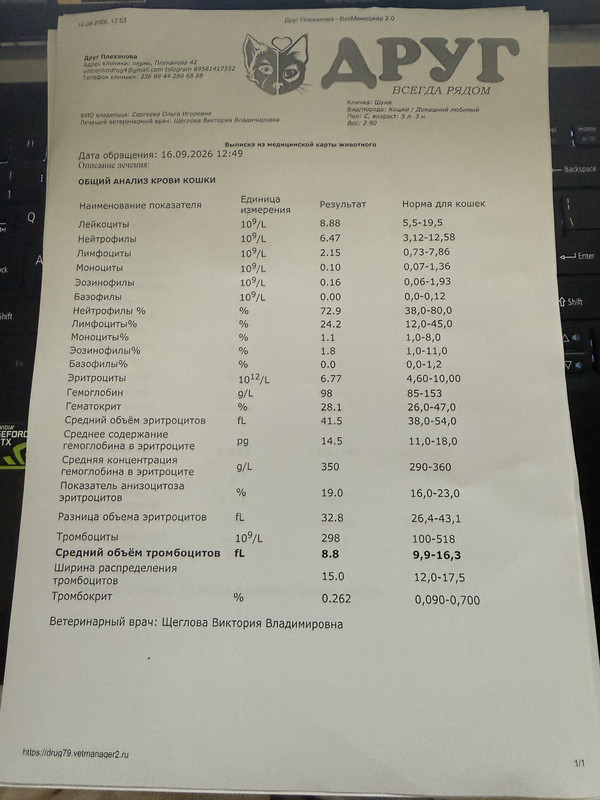 Изображение