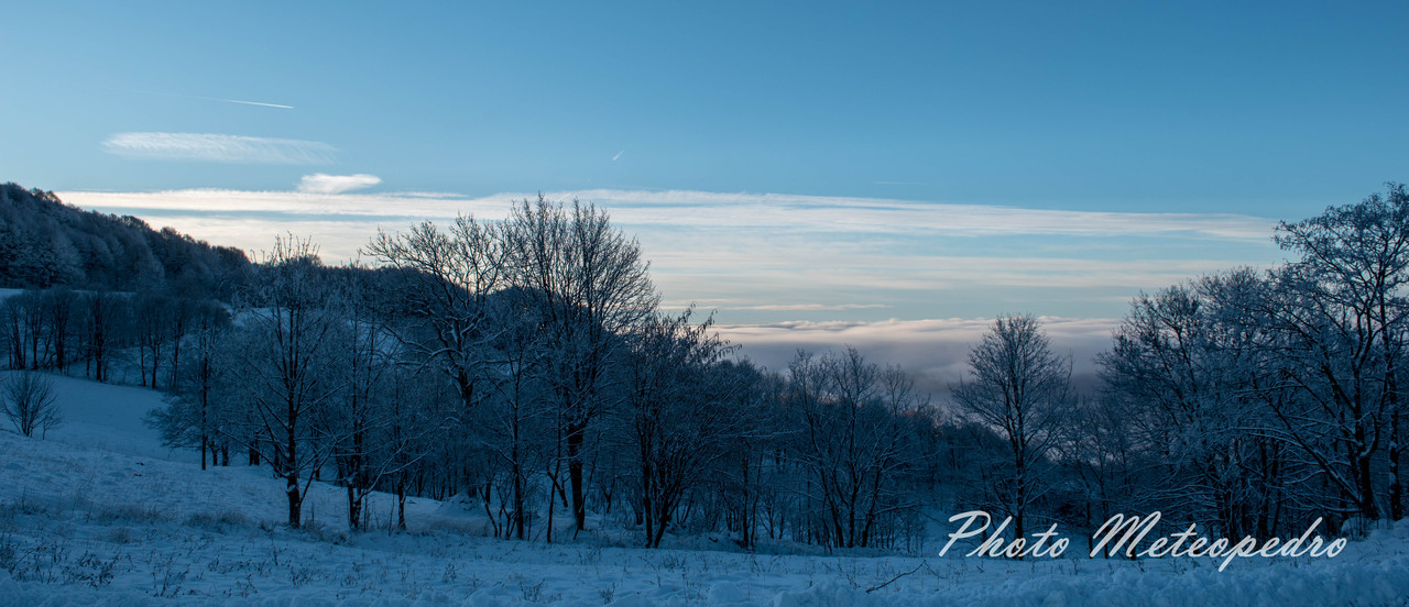 after the snowfall (11)