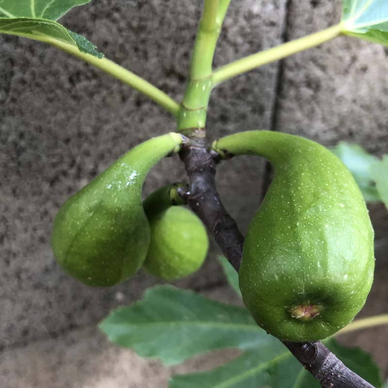 D612696D-4013-4ECA-858A-EB180C26BFD7