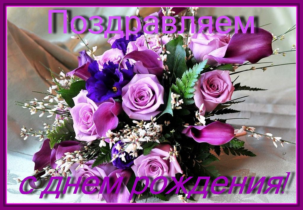 https://i.postimg.cc/bJz4Xy6m/image.jpg