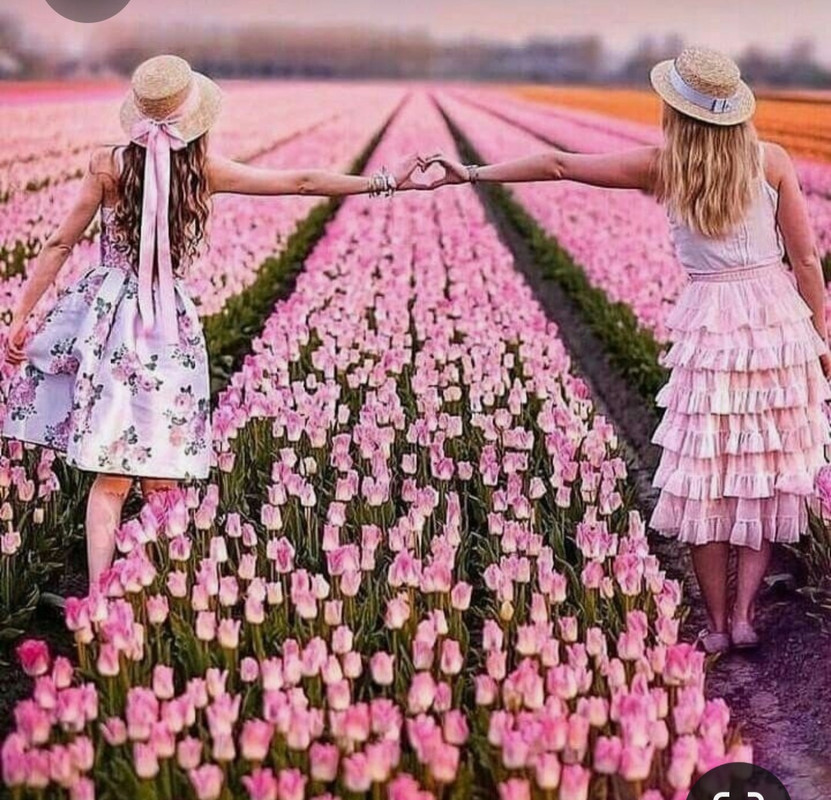 Screenshot_20230321_235456_Pinterest