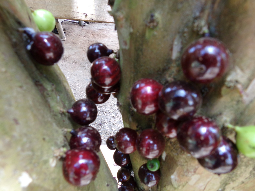 WhatsApp Image 2020-12-20 at 00.58.58 (6)