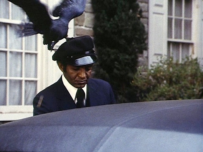 RUTH-Mc-DEVITT-KOLCHAK-BIRD-1-FOTOR.jpg