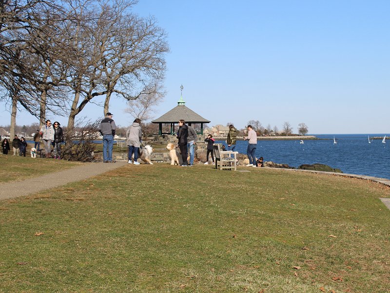 Larchmont03082020-3.jpg