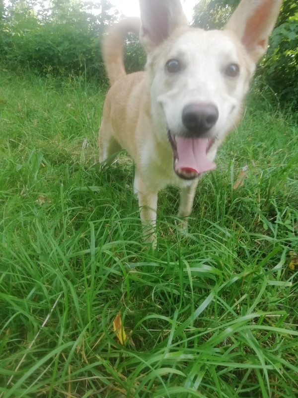 IMG_20210716_092920_1