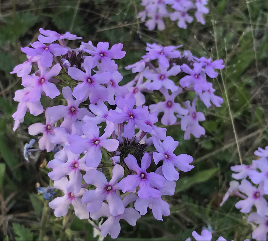 B2C02544-0A41-453E-89C3-C6A03DEB76DE