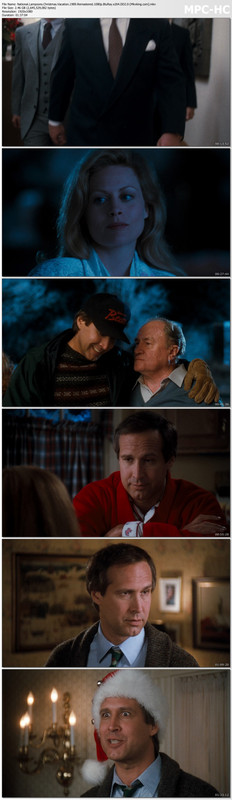 National.Lampoons.Christmas.Vacation.1989.Remastered.1080p.BluRay.x264.DD2.0-[Mkvking.com].mkv_thumb