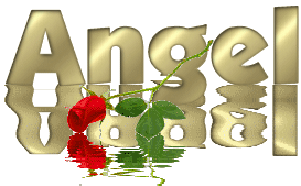 ANGEL-NAPIS