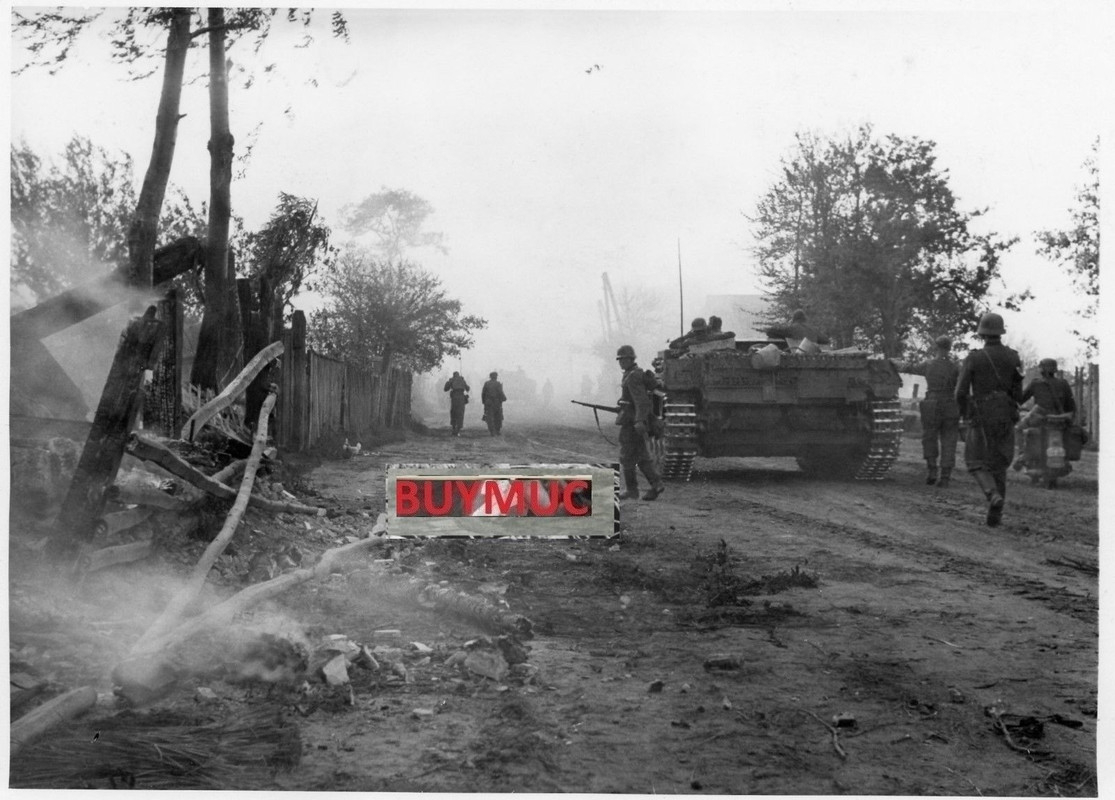 LARGE FOTO PANZER TANK STURMGESCHÜTZ OSTEN KOROL