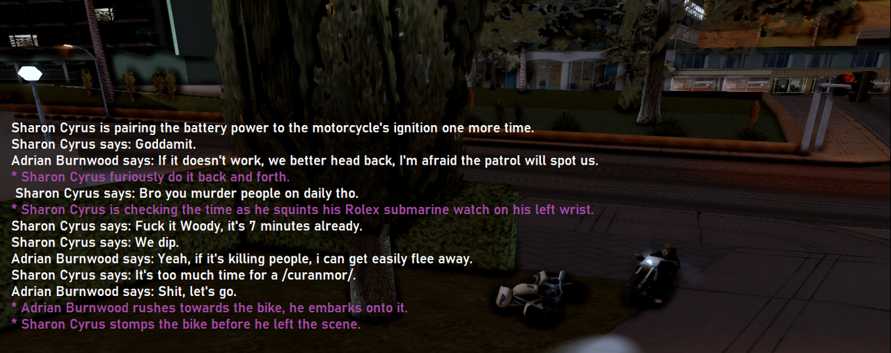 samp-4.png