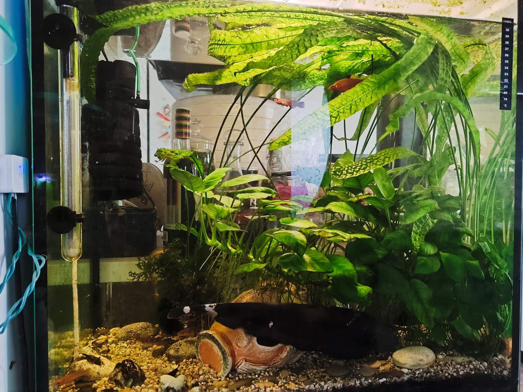 изображение_viber_2025-02-10_08-46-03-636.pdf