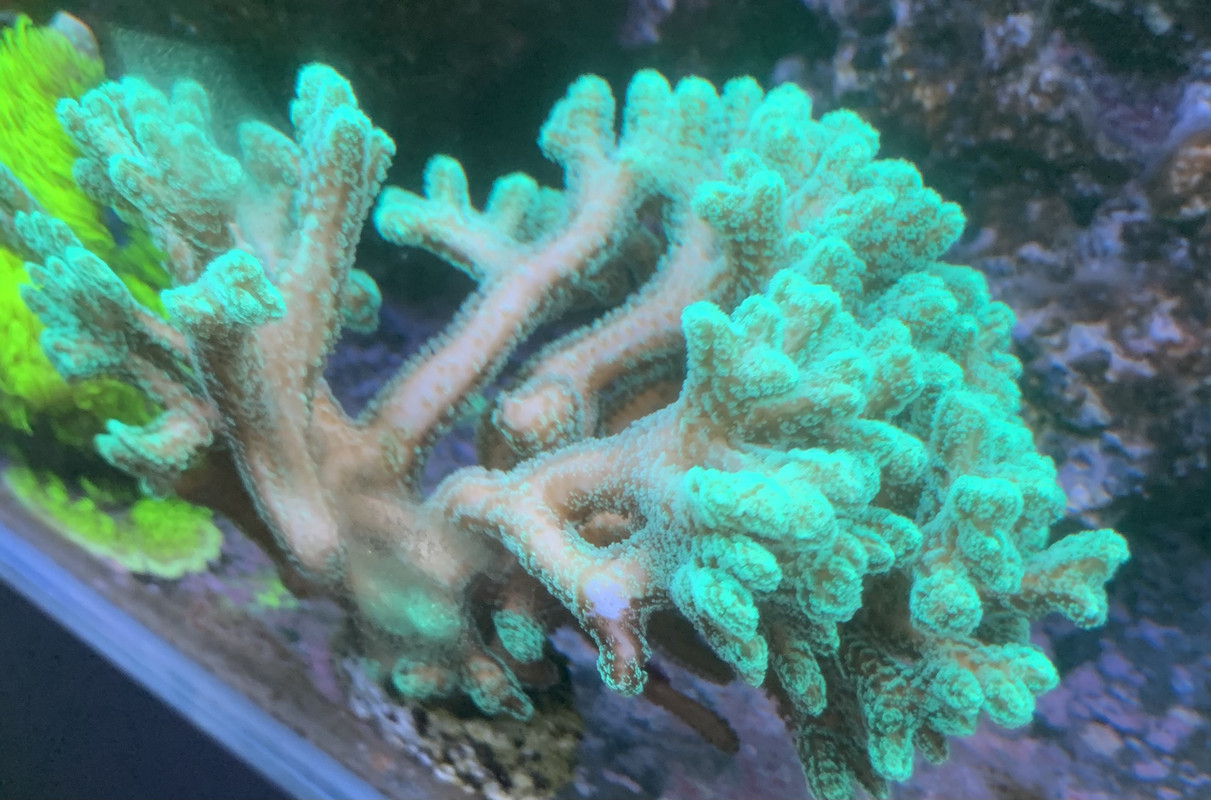 74123024-8DE4-4B81-9845-39AD8BAC4D0E