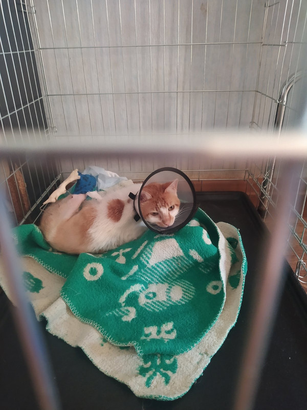 9C75C79D-D984-4144-A221-C0D53F974F08